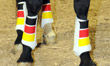 Bild Miniatur Trainingsgamaschen schwarz rot gold